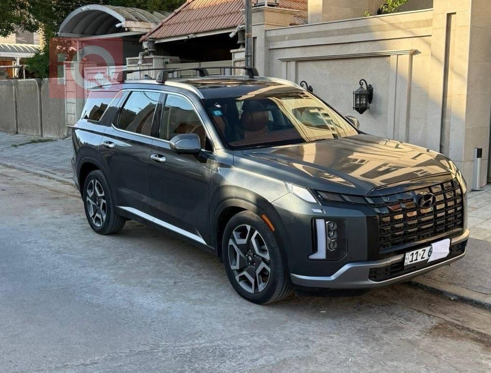 هیۆندای پالیسەید